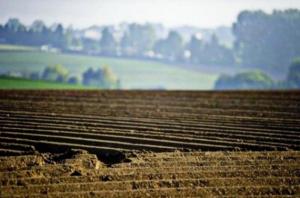 Аграріям пообіцяли законопроект про обіг земель