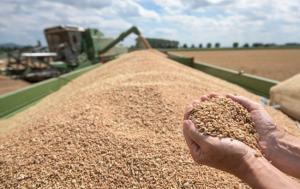 Експерти звертають увагу на пшеницю