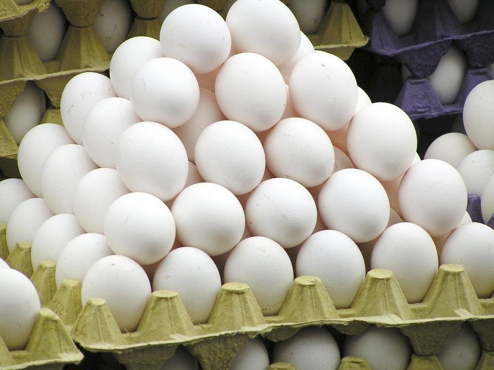У травні експорт українських яєць збільшився на 60%