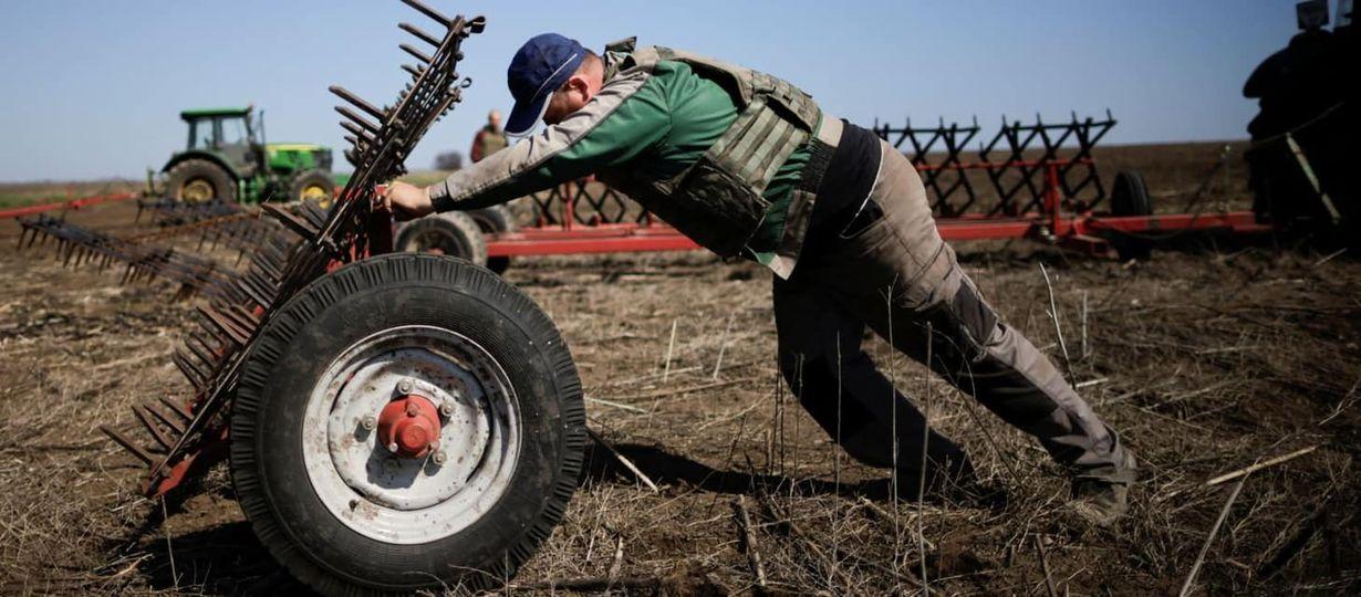 Мінагро критикує ще один проєкт від ФАО — підтримку фермерів модульними зерносховищами