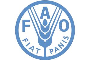 Прогноз ФАО по зернових на 2017-2018 МР