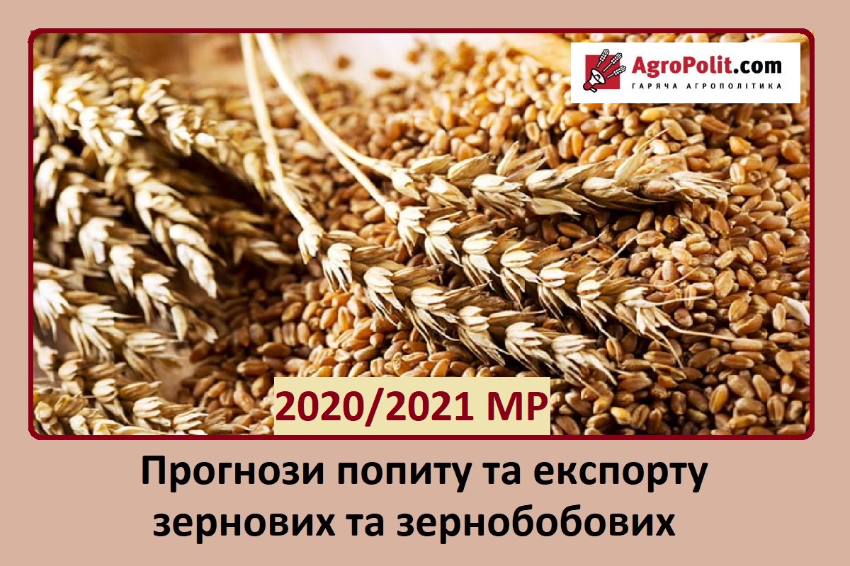 Прогнози попиту та експорту зернових та зернобобових у сезоні 2020-2021 