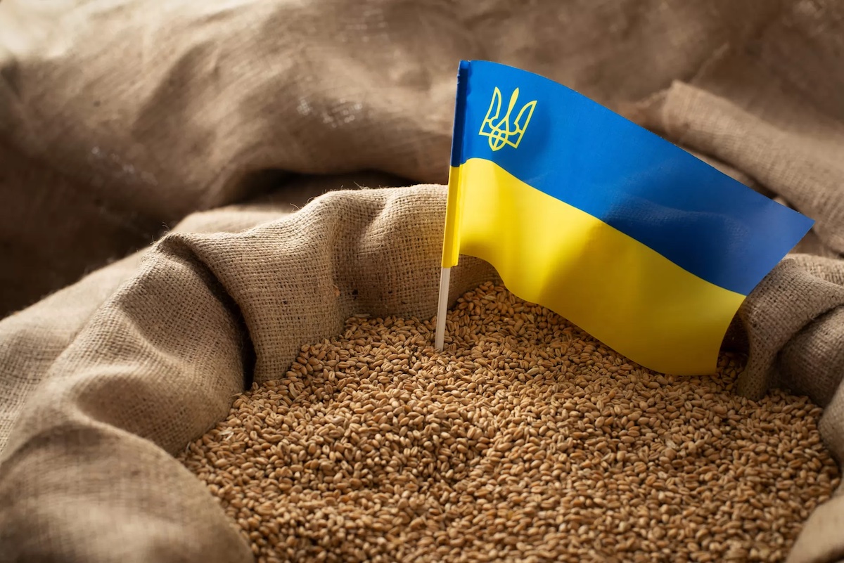 Як змінився агроекспорт України і його структура за 2023 рік?
