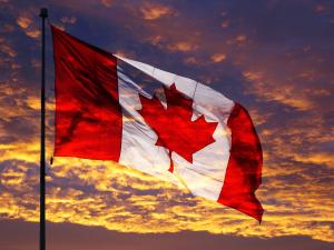 Зона вільної торгівлі з Канадою – втрачені можливості чи шанс на нові інвестиції? 