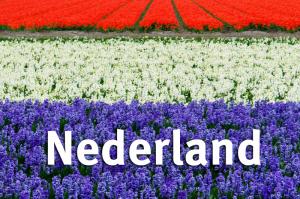 Земельна реформа старих країн-членів ЄС — досвід Нідерландів