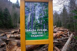 На межі зникнення, або Чому Україна залишиться без лісу?