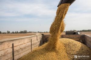 Експорт зернових з України: запаси кукурудзи, пшениці, соняшника – фактор Китаю
