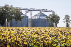 Меморандум на зернові та олію: аналіз впливу обмежень на експортну політику та внутрішній ринок України
