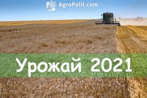 Урожай зернових 2021 року та прогноз цін на кукурудзу, пшеницю, ячмінь та ріпак