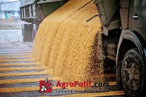 Державна продовольча зернова корпорація – стратегічна карта антикризових дій з реорганізації зернотрейдера
