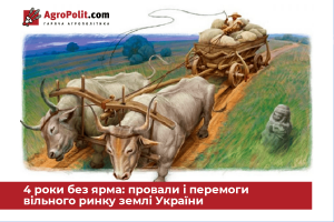 Ринок землі в Україні – чотири роки: що є і що буде з ціною землі, орендою і земельними законами