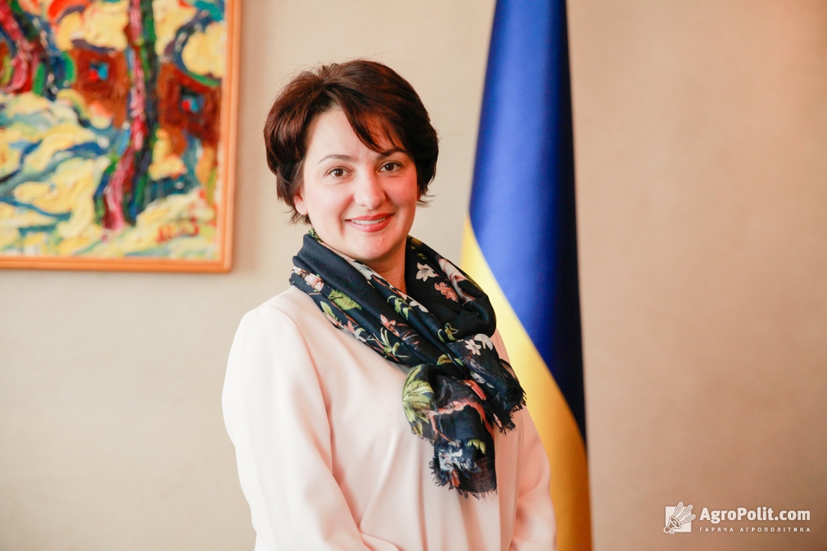Олена Сукманова: Моя мета на цей рік, щоб антирейдерська комісія припинила своє існування…