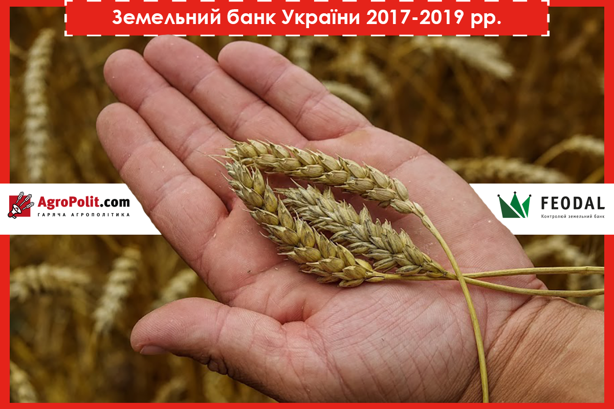 Земельний банк України 2017-2019 роки: скільки землі обробляють холдинги, фермери та ОСГ