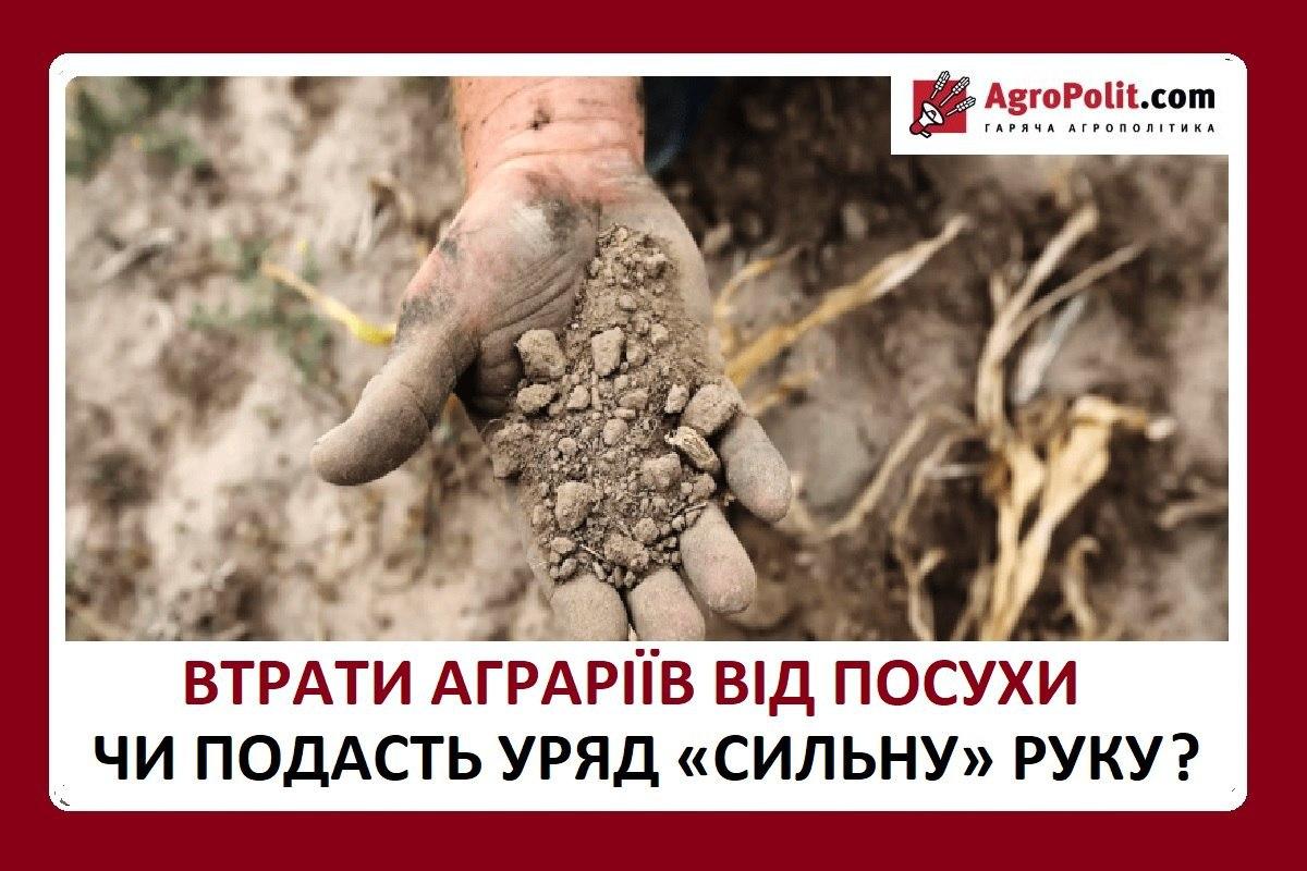 Втрати від посухи. Чи подасть уряд «сильну» руку українським аграріям