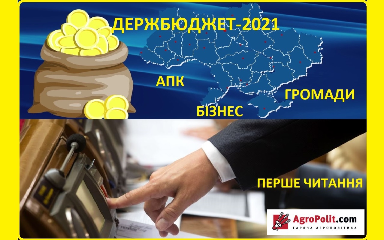 Держбюджет 2021: що дістанеться українському агросектору, селу, громадам та бізнесу
