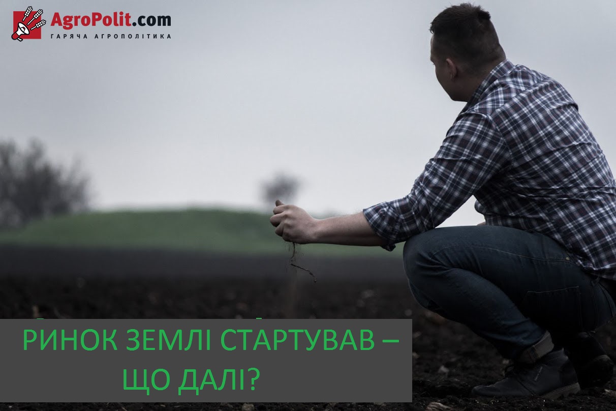 Ринок землі   — правила продажу та купівлі сільськогосподарської землі в Україні