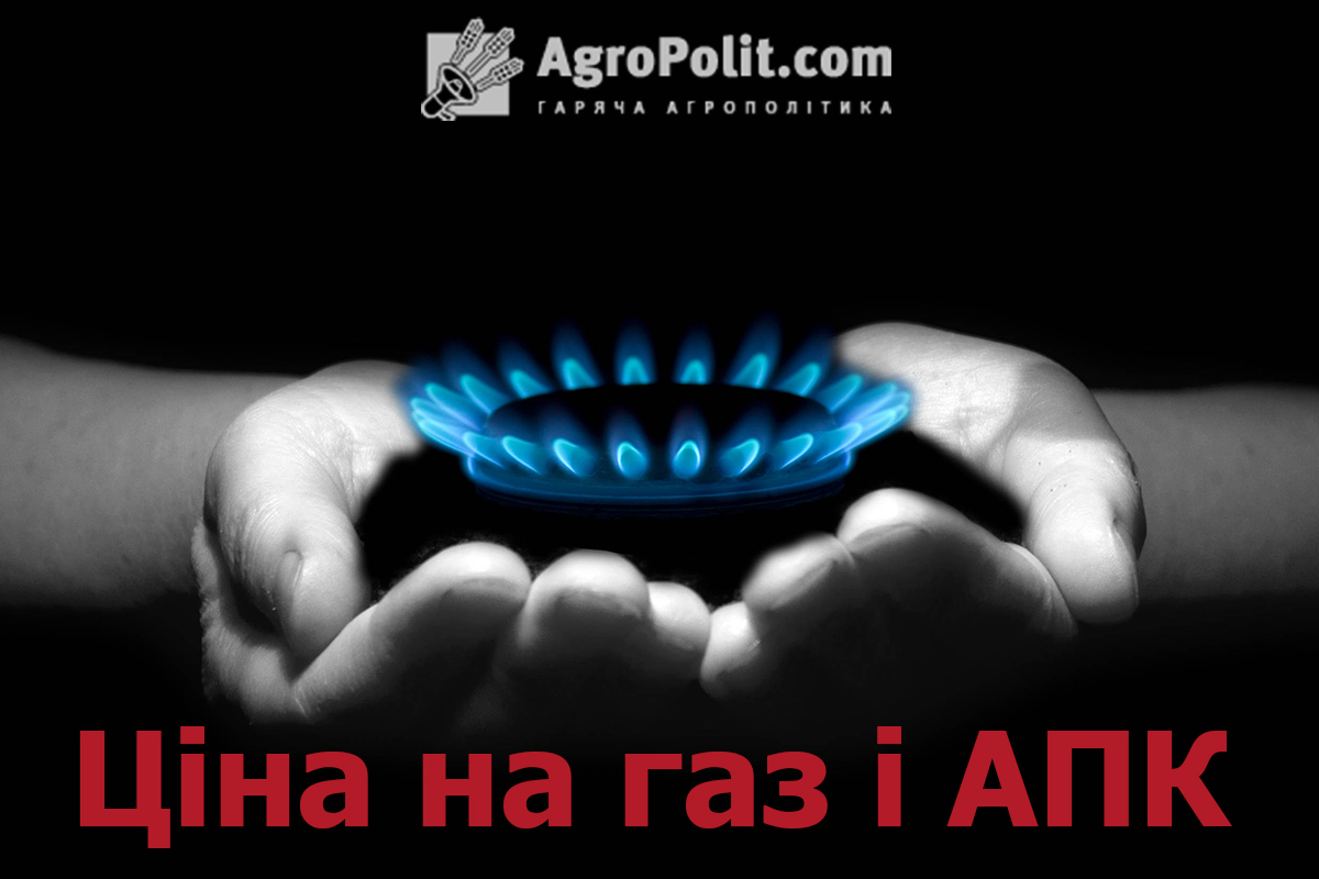 Зростання ціни на газ – причини та наслідки газового шоку для АПК