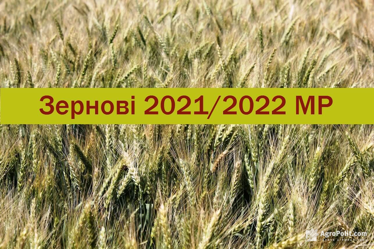Ринок зернових України: попит та пропозиція у 2021/2022 маркетинговому році