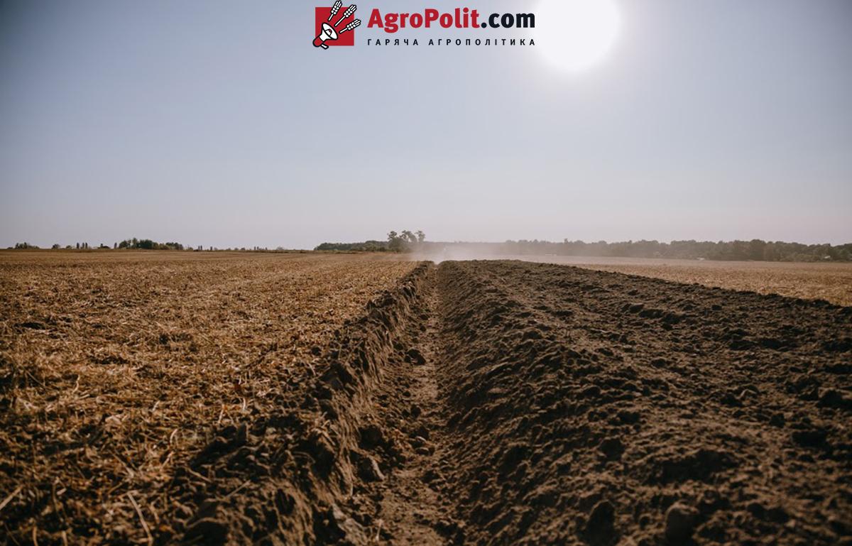 Земельні ділянки – у аграріїв кілька місяців на реєстрацію договір оренди та суборенди