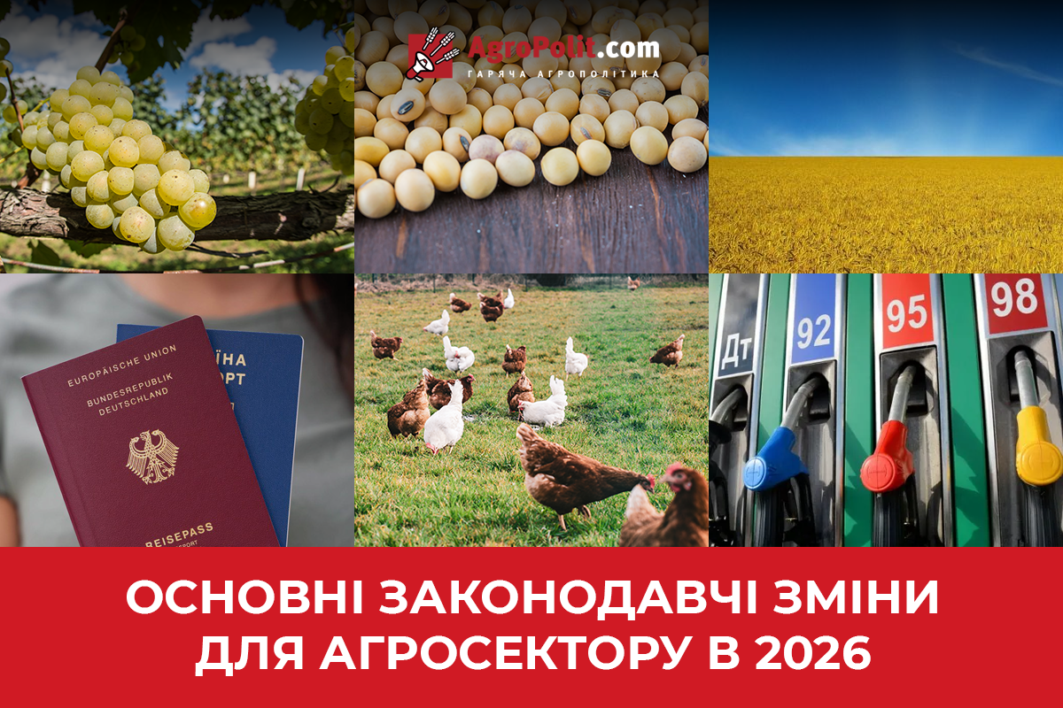 Основні податкові та законодавчі зміни: чого чекати аграріям у 2026 році?