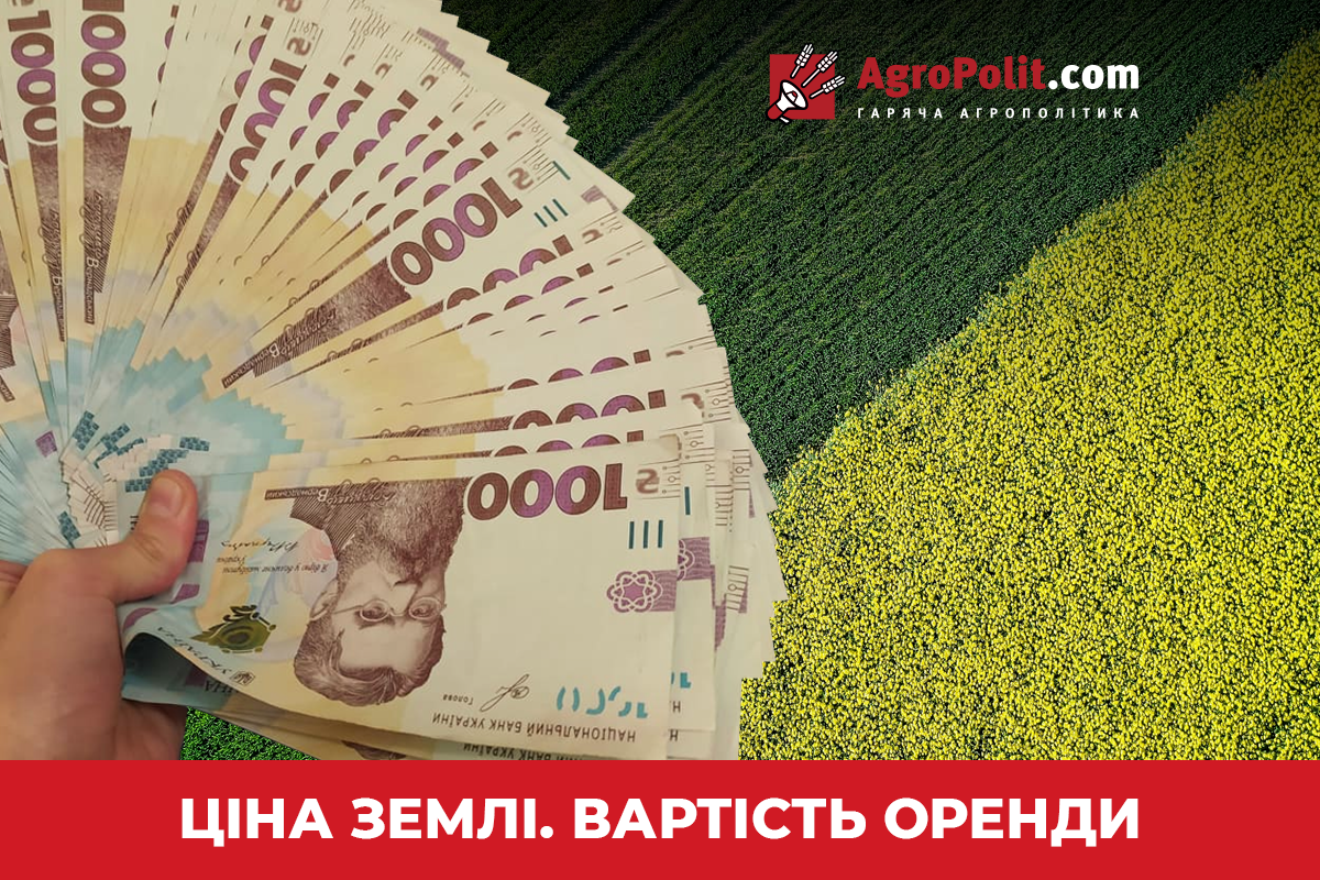 Ціна землі та оренда землі: чого чекати аграріям та власникам паїв у 2026 році?