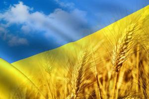 В Україні з'являться Аграрні палати — Мінагрополітики