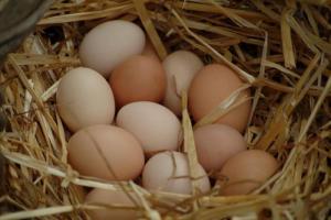 Підвищення цін на яйця та курку — Карпенко