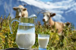 На Хмельниччини Антимонопольний комітет оштрафував чотири молочних підприємства ― прес-служба 