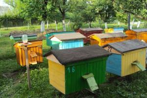 Агропродсервіс провів весняну ревізію бджолосімей — прес-служба