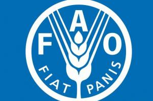 Україна підтримує регіональні ініціативи ФАО щодо сталого розвитку сільського господарства в регіоні Європи і Центральної Азії — Ковальова 