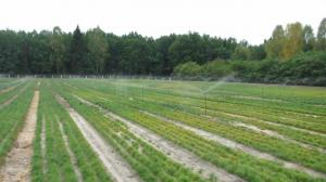 Аграрії, які використовують воду для зрошення і не застосовують спрощену систему оподаткування, перебувають на загальних умовах ― Хлань