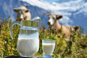 Оприлюднено рейтинг регіонів за цінами на молочні продукти ― дослідження 