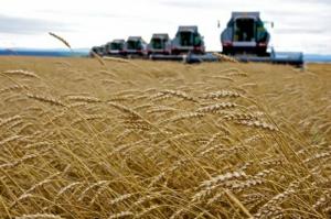 Уряд відновив діалог з аграріями після погрози страйком