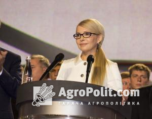 Тимошенко: в Україні 11 родин контролює сотні тисяч га землі