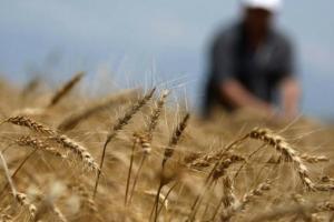 В українських фермерів держпідтримка стане як у європейських