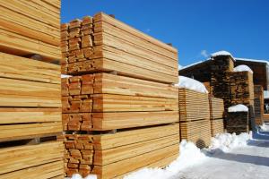 Деревообробна промисловість України зросла на 16%