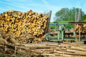 Держлісгоспи відновлять деревообробну промисловість України