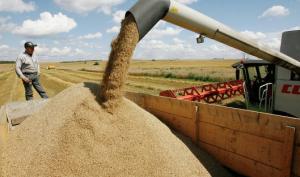 Пропозиція вільних зерновозів зменшилася до 2,5 тис.