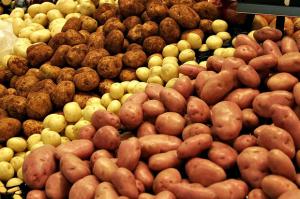 Україна в травні збільшила експорт картоплі в 2,2 рази
