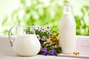 Для експорту молока з ЄС до України буде створено уніфіковану форму ветсертифіката