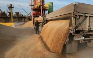 США знизили прогноз експорту зерна з України на 1,3%