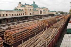 Радикальна партія обіцяє не допустити скасування мораторію на експорт деревини 