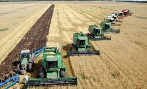 Великі агрохолдинги перемагають земельну реформу — думка
