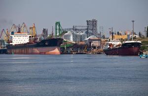 Тваринникам не вистачає потужностей морських портів для експорту - джерело