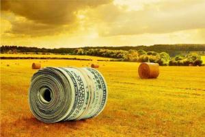 Мінагрополітики розробляє інвестиційну платформу для агробізнесу