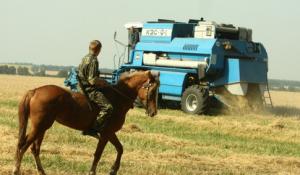 В Україні з'явилися кочові рейдери та еко-рейдери