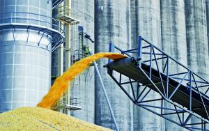 На українське зерно в Європі ввели мито в розмірі €5,16