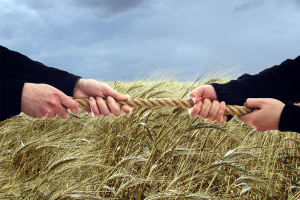Фермери VS Агрохолдинги — названо найперспективнішу модель розвитку агросектору України