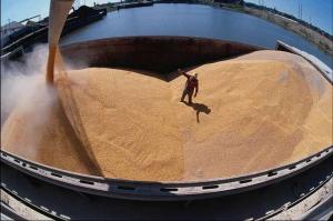 Мінагрополітики та трейдери погодили план з експорту зернових — документ