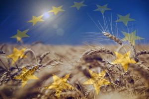 7 порад українському виробнику для виходу на ринок ЄС